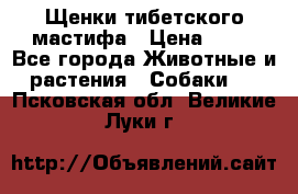 Щенки тибетского мастифа › Цена ­ 80 - Все города Животные и растения » Собаки   . Псковская обл.,Великие Луки г.